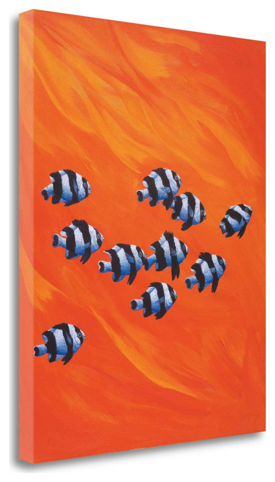 School of Clown Fish 1 Giclee Wrap Canvas Wall Art