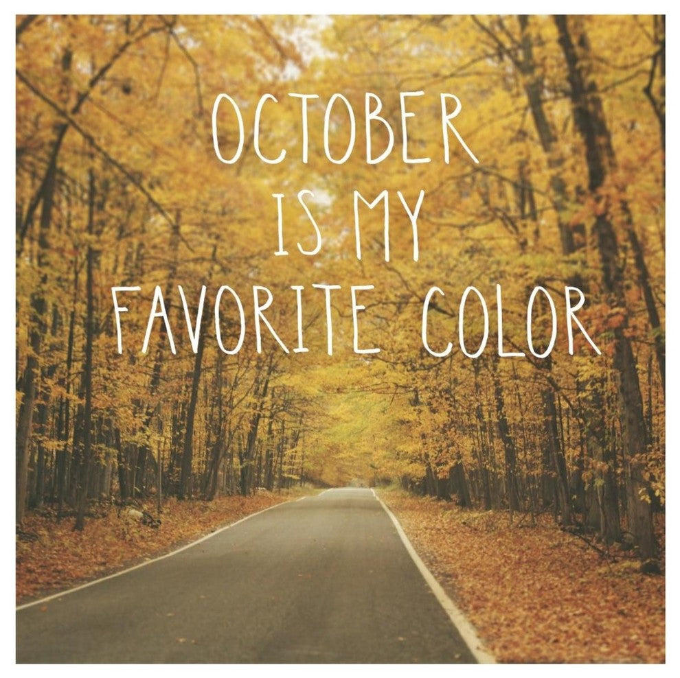 "October Color II" Digital Paper Print by Laura Marshall, 42"x42"
