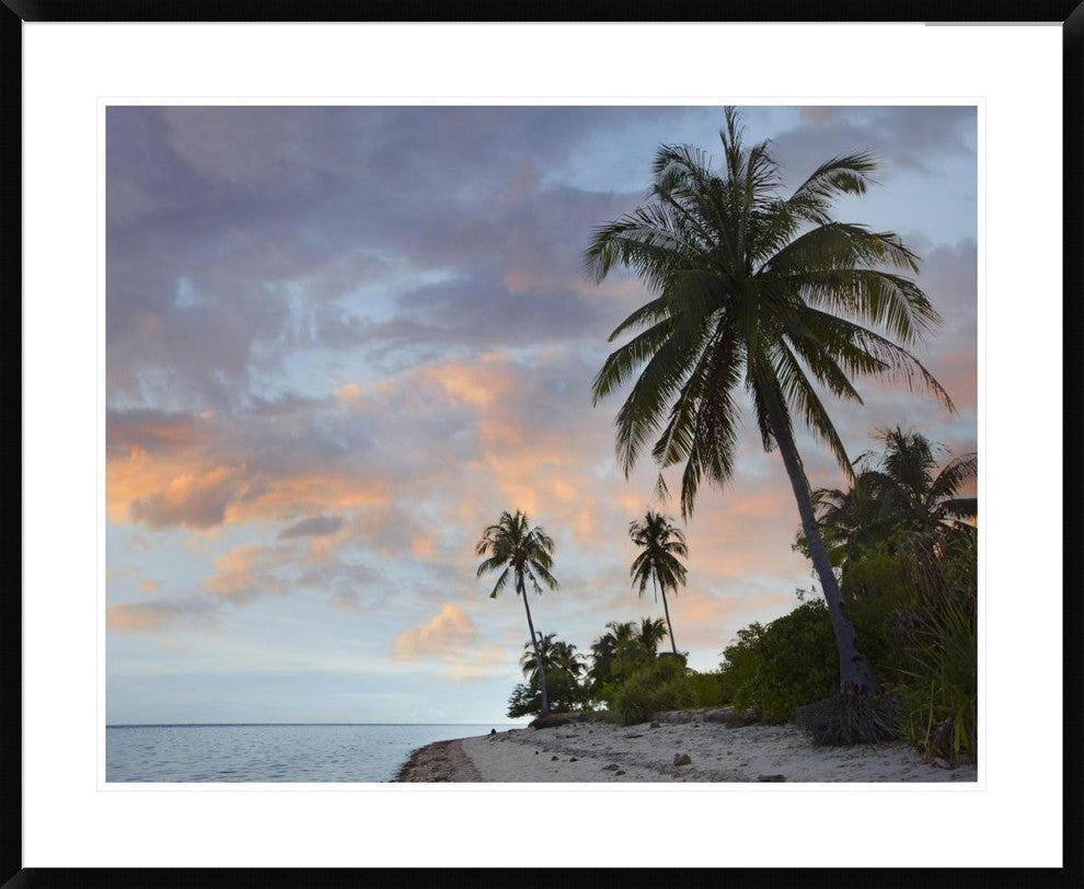 Coconut Palm Trees, Pamilacan Island, Bohol Island, Philippines, 38"x30"