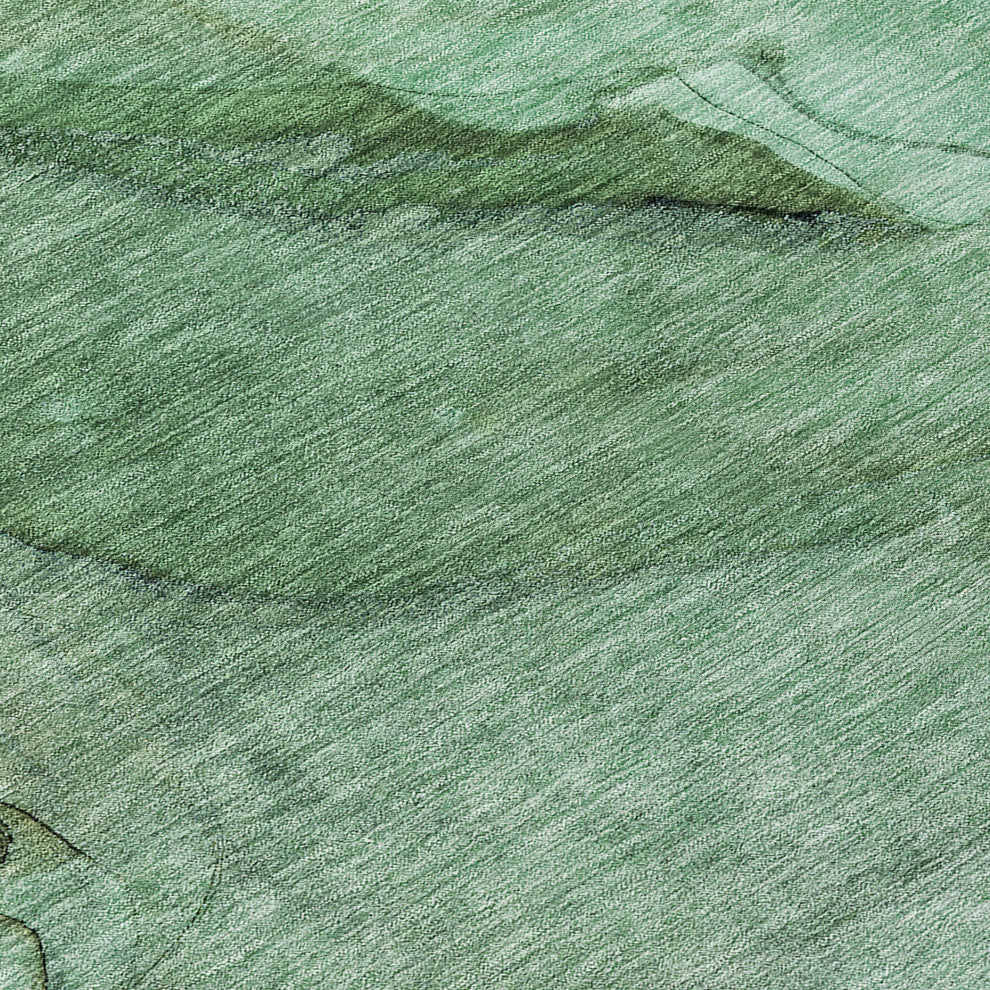 Machine Washable Indoor/Outdoor Chantille ACN607 Green 9' x 12' Rug