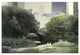 "Summer Days" Digital Paper Print by Diane Romanello, 32"x22"