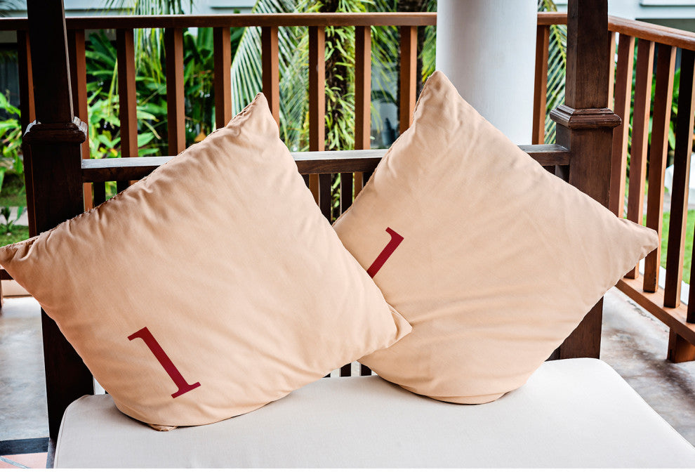 18" x 18" Modern Monogram Indoor/Outdoor Polyester Throw Pillow, Cranberry