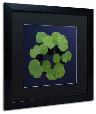 'Giant Lily Pad Abstract' Matted Framed Canvas Art by Kurt Shaffer