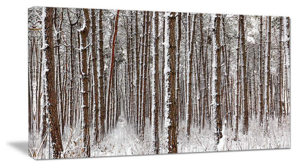 Dense Pine Forest in Winter, Large landscape Canvas Art Print, 60"x28"