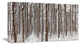 Dense Pine Forest in Winter, Large landscape Canvas Art Print, 60"x28"