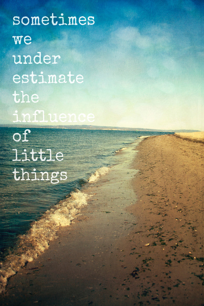 "Sometimes We Underestimate" Print on Canvas by Sylvia Cook