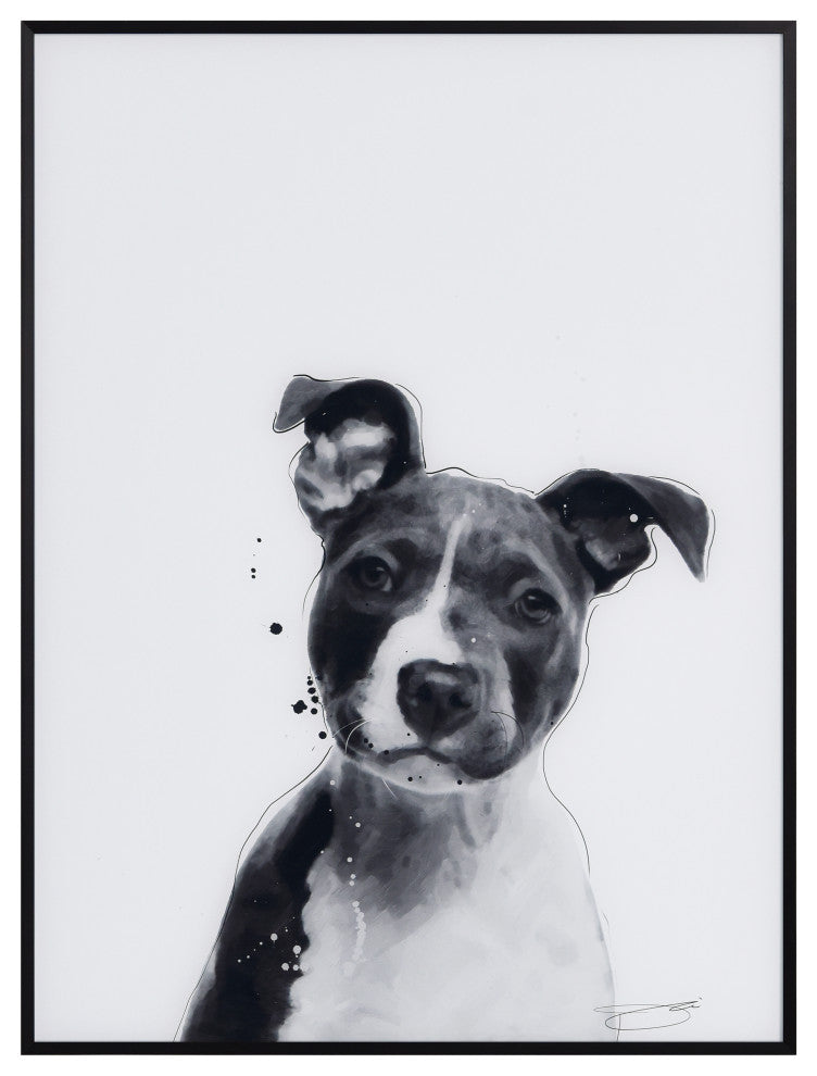 "Pitbull" Black and White Pet Art on Printed Glass Encased with Anodized Frame