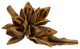 Vickerman H2Sta725 6" Aspen Gold Star Pod, 1 Piece, Dried