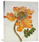"African Tulip" Artwork, 25" x 30"