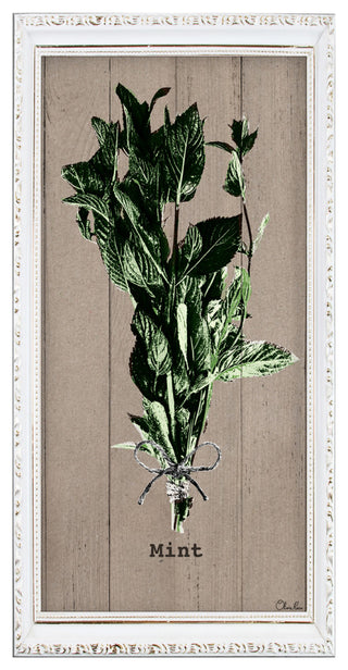 Mint Wrapped Canvas Botanical Kitchen Wall Art