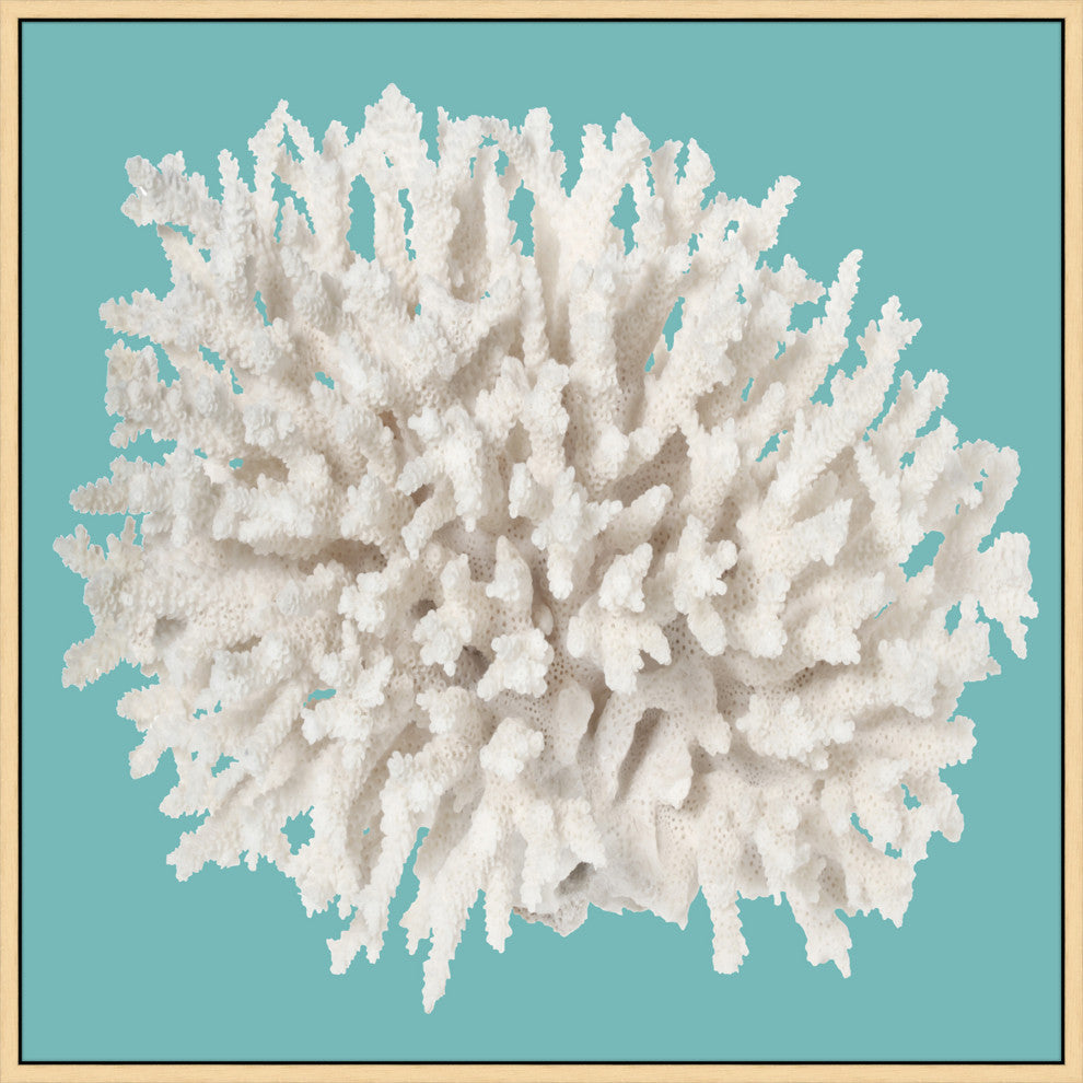 Coral On Aqua 2, Giclee Reproduction Artwork