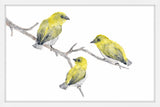 Marmont Hill, "Yellow Birds" by Thimble Sparrow Framed Painting Print, 45x30