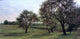 William Trost Richards Shady Grove Wall Decal
