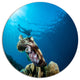 Broadclub Cuttlefish Underwater, Seashore Round Metal Wall Art, 11"