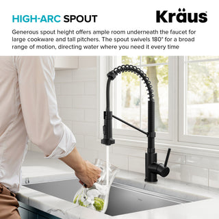 Bolden Commercial Style Pulldown Kitchen Faucet and Water Filter Faucet MB