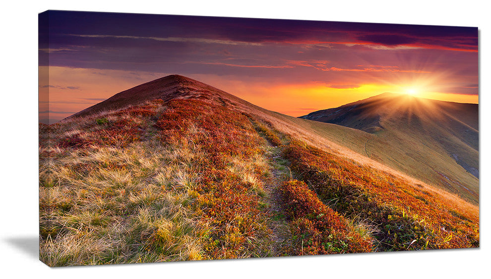 "Autumn Hills With Colorful Grass" Landscape Photo Wall Art, 1 Panel, 60"x28"