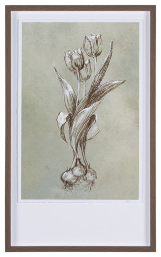 Botanical Sketch I, green