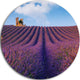 Purple Lavender Field, Landscape Photography Round Wall Art, 38"