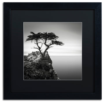 'The Lone Cypress' Matted Framed Canvas Art by Dave MacVicar