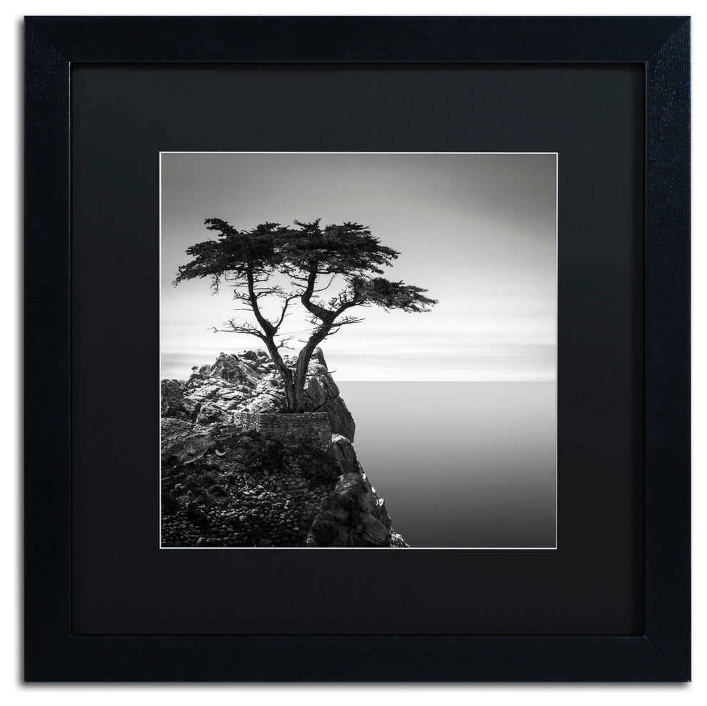 ''The Lone Cypress'' Matted Framed Canvas Art by Dave MacVicar