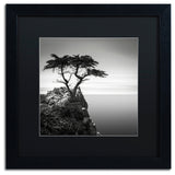 'The Lone Cypress' Matted Framed Canvas Art by Dave MacVicar