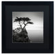 'The Lone Cypress' Matted Framed Canvas Art by Dave MacVicar