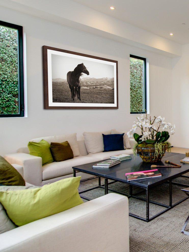 "Horse in Wind" Framed Painting Print, 24x16