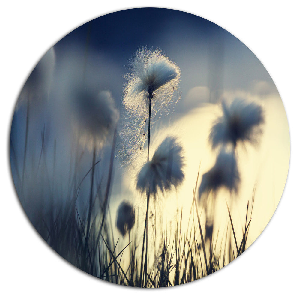 Arctic Blooming Cotton Flowers, Flower Disc Metal Wall Art, 23"