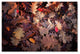 'Goofy Leaves' Canvas Art by Philippe Sainte-Laudy