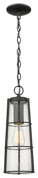 Zlite 591CHB-BK 1-Light Outdoor Chain Mount Ceiling Fixture, Clear Seedy