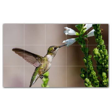 Bird Ceramic Tile Wall Mural HZ500158-53M. 30" x 18"