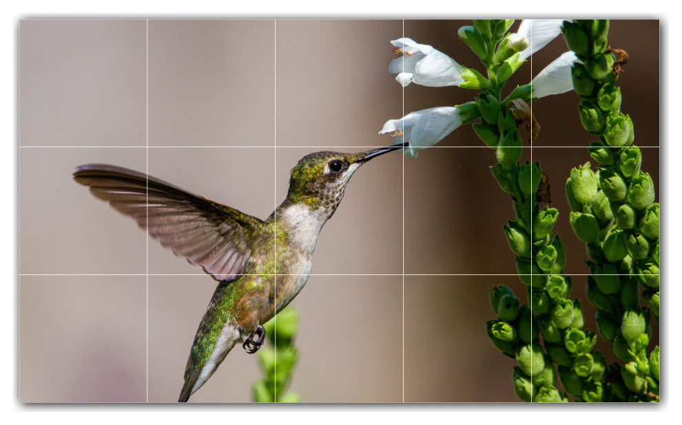 Bird Ceramic Tile Wall Mural HZ500158-53M. 30" x 18"