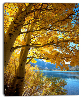 Bright Yellow Autumn Tree, Oversized Landscape Canvas Art, 30"x40"