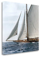"Sailing South" By Jorge Llovet, Giclee Print on Gallery Wrap Canvas