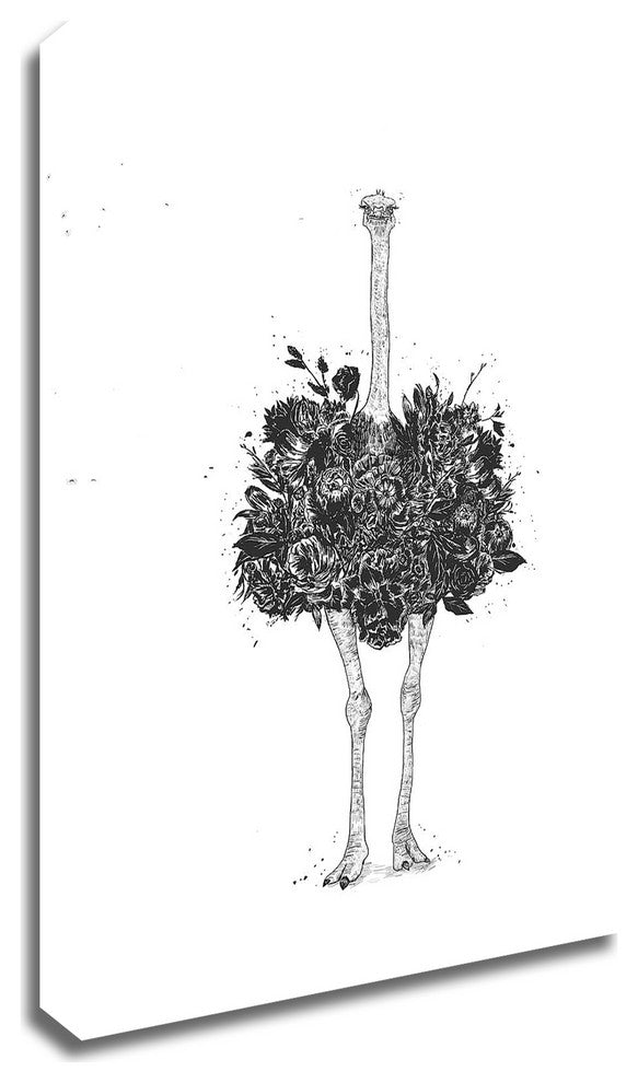 Floral Ostrich by Balazs Solti, Print on Canvas, 30"x42"
