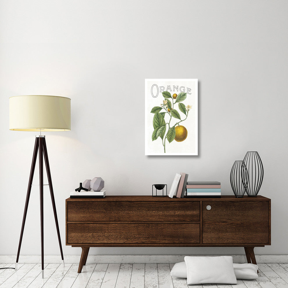 "Classic Citrus VI v2" Digital Paper Print by Sue Schlabach, 22"x32"