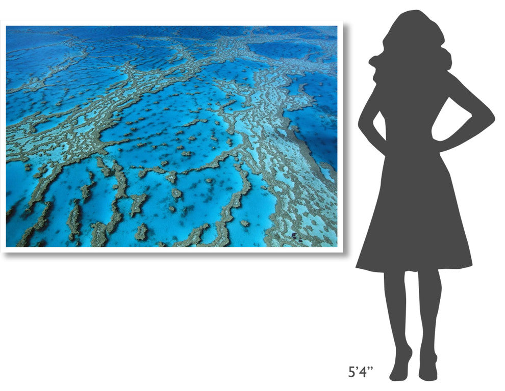 "Coral formation, Hardy Reef, Great Barrier Reef, Queensland" Paper Art, 62"x42"