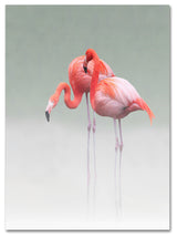 Anna Cseresnjes 'Just We Two' Canvas Art, 24 x 18