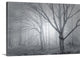 "Backwoods Mist" Wrapped Canvas Art Print, 48"x32"x1.5"