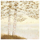 "Golden Birch I Off White" Digital Paper Print by James Wiens, 42"x42"