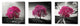 "Vibrant Tree Series: Magenta Triptych (Set of 3)" Giclee Canvas, 54"x18"