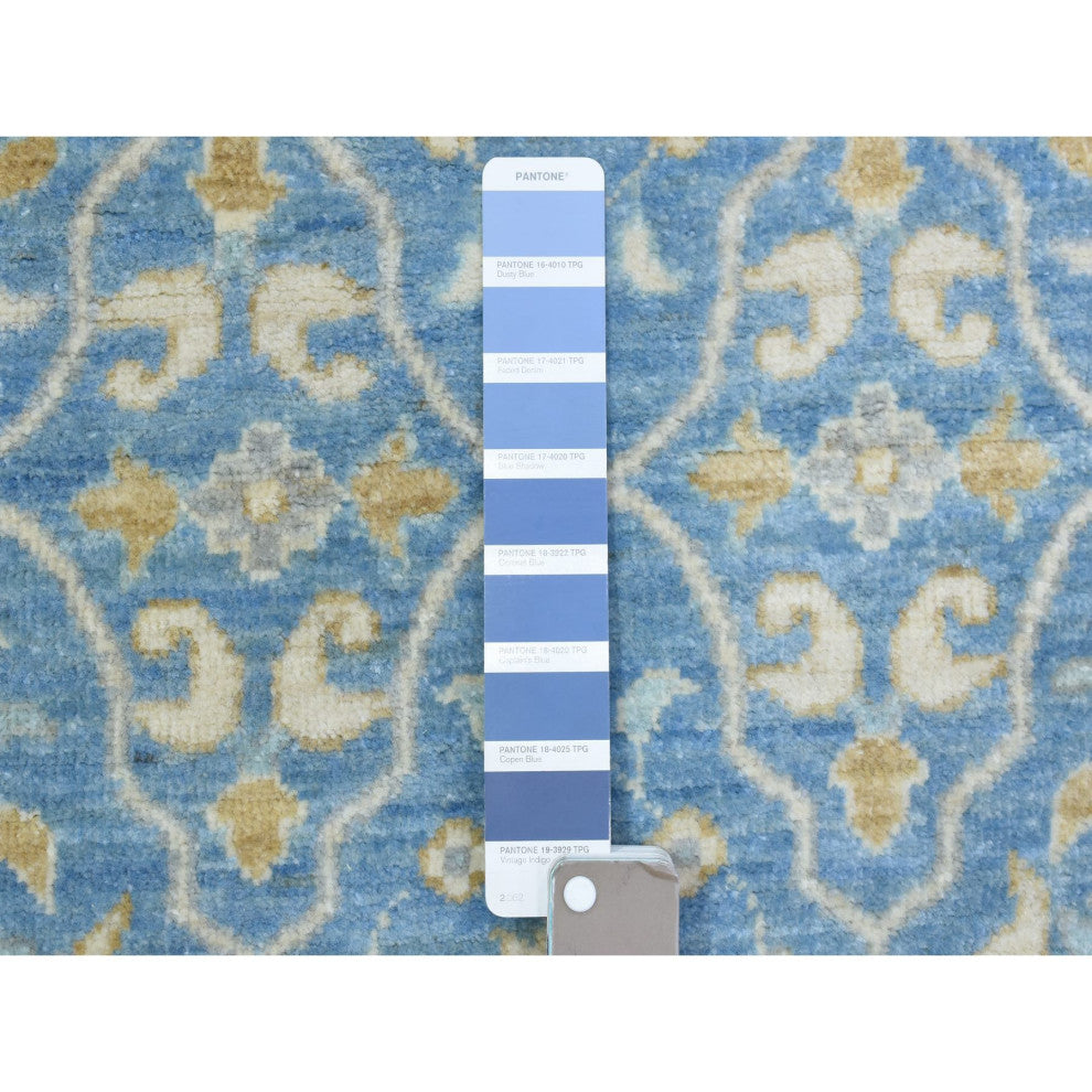 Light Blue, Fine Peshawar Velvety Wool Hand Knotted Runner Rug, 2'7"x7'7"
