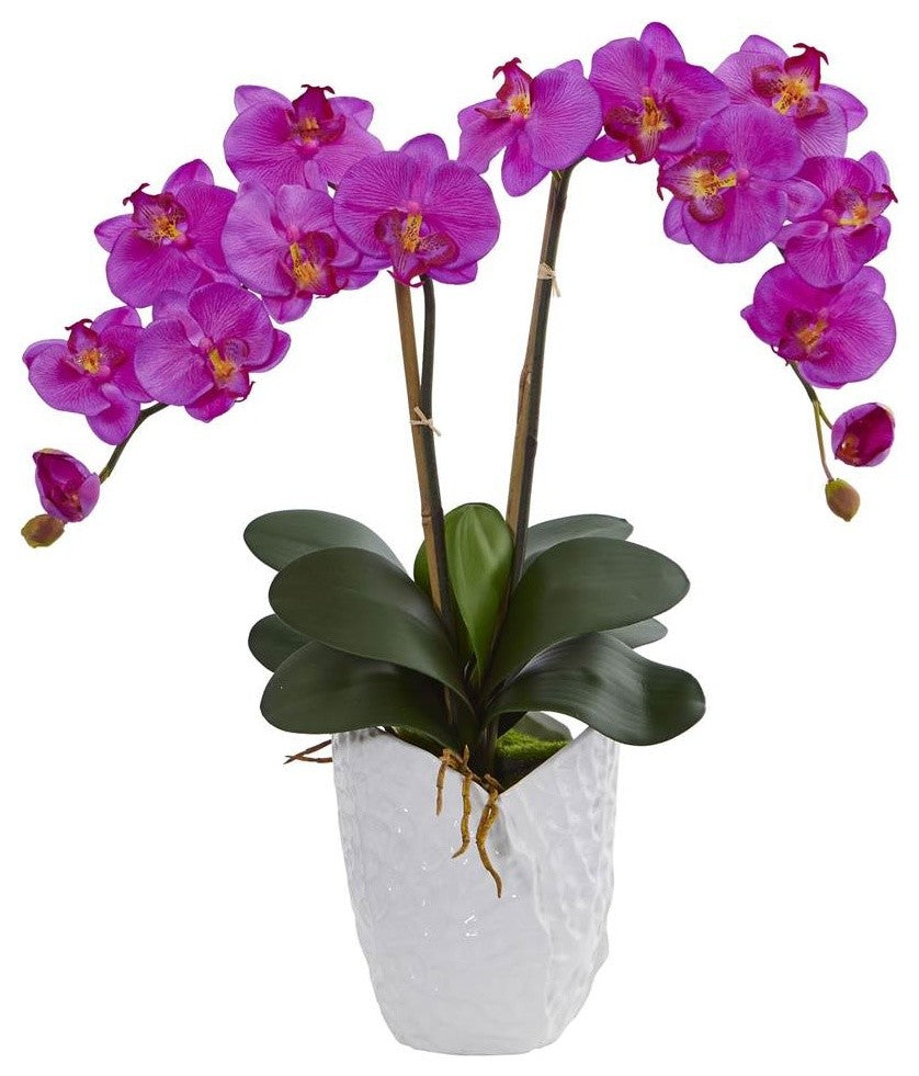 Double Mini Phalaenopsis in Black Vase