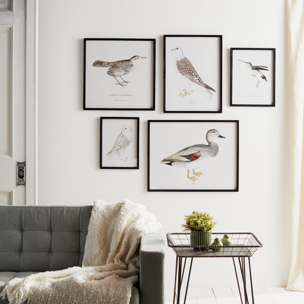 Framed Bird Print, 5-Piece Set