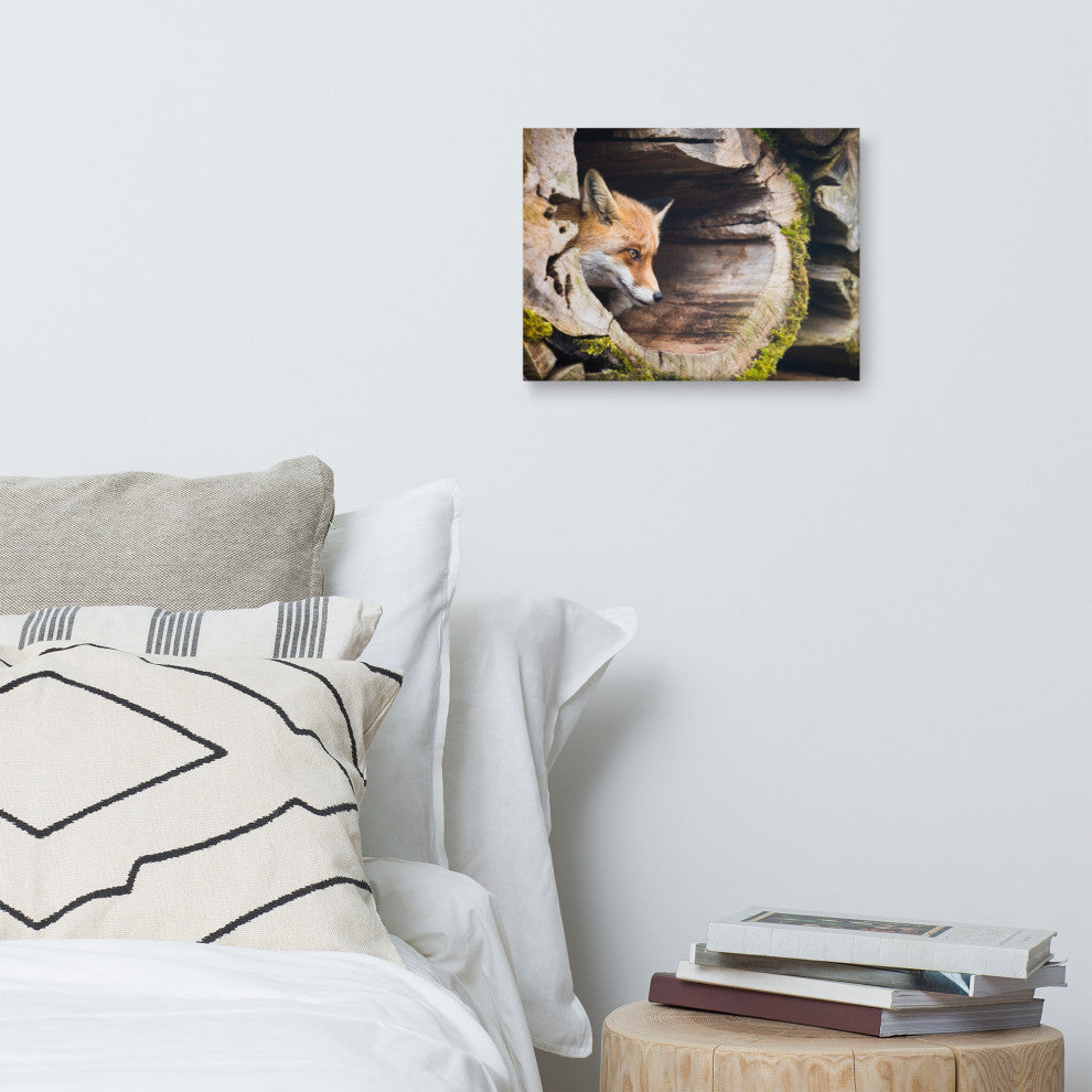 Young Red Fox Face In Mossy Stump Animal Wildlife Photo Canvas Wall Art Prints, 12" X 16"