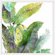 "Banana Leaves One" Framed Painting Print, 32"x32"