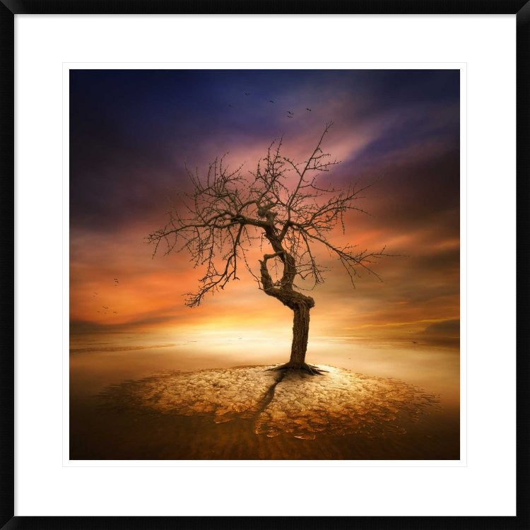 "Lonely" Framed Digital Print by Piotr (Bax) Krol, 30x30"
