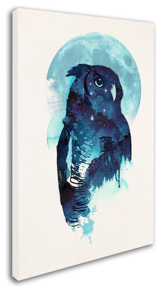 Robert Farkas 'Midnight Owl' Canvas Art, 19x12