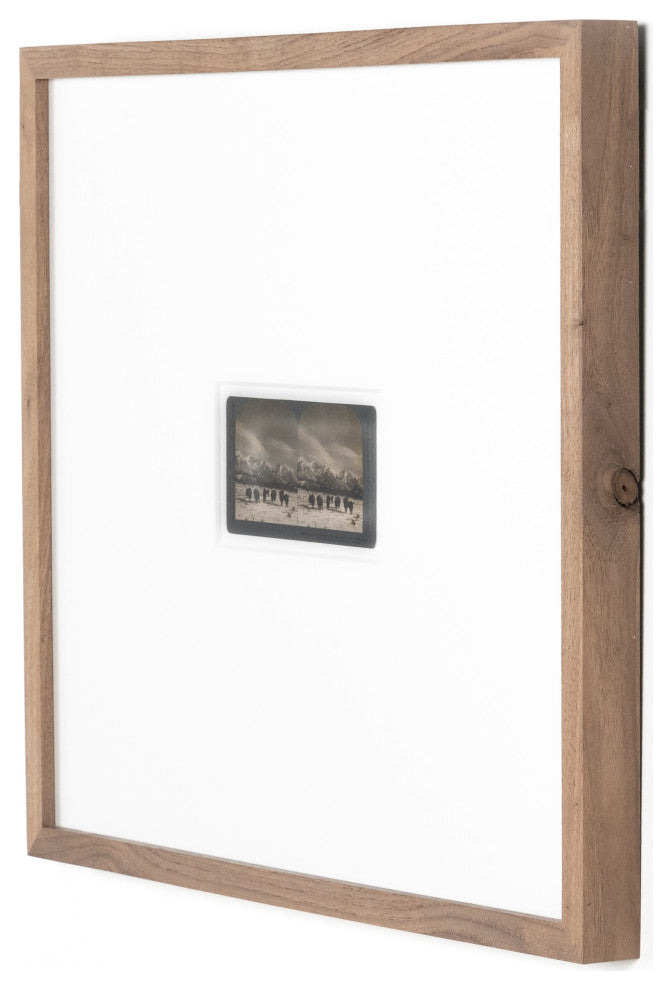 Monarch Of The Plain By Gold Rush Art Co