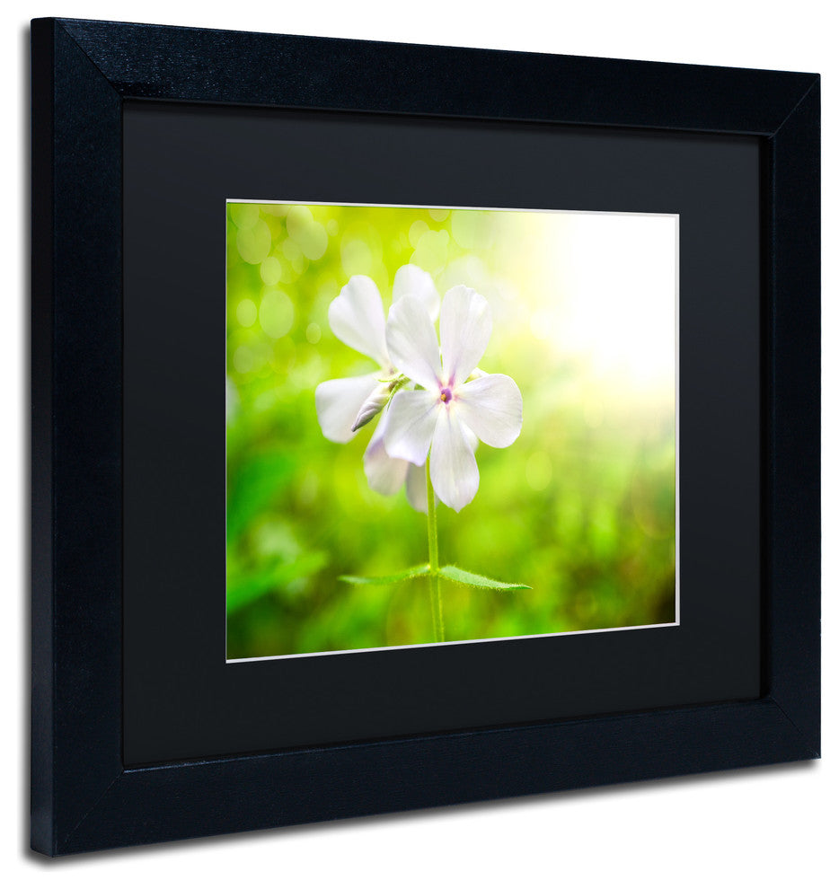 PIPA Fine Art 'Beauty of the Forest Floor' Matted Framed Art, 14x11